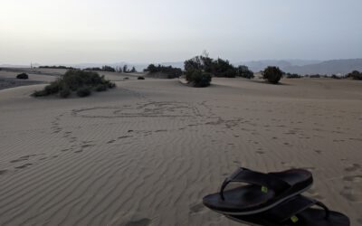 in der kleinen Sahara – die Dünen von Maspalomas